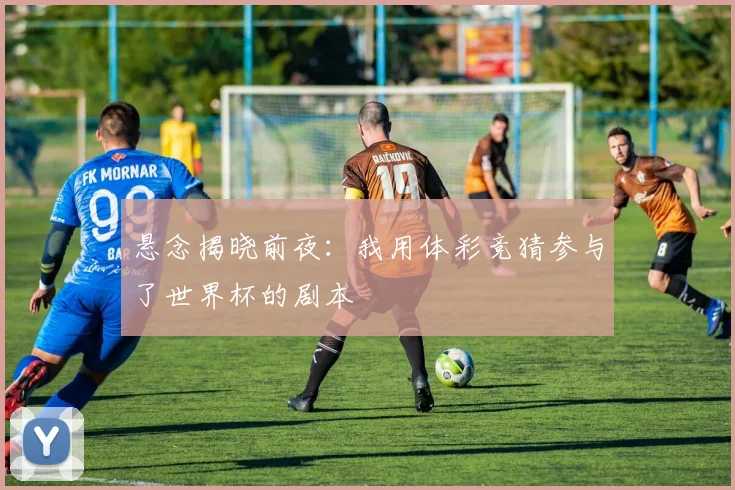 悬念揭晓前夜:我用体彩竞猜参与了世界杯的剧本