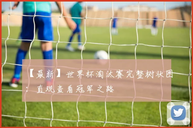 【最新】世界杯淘汰赛完整树状图：直观查看冠军之路