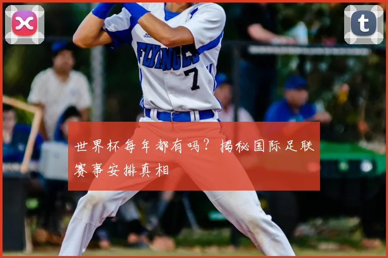世界杯每年都有吗？揭秘国际足联赛事安排真相