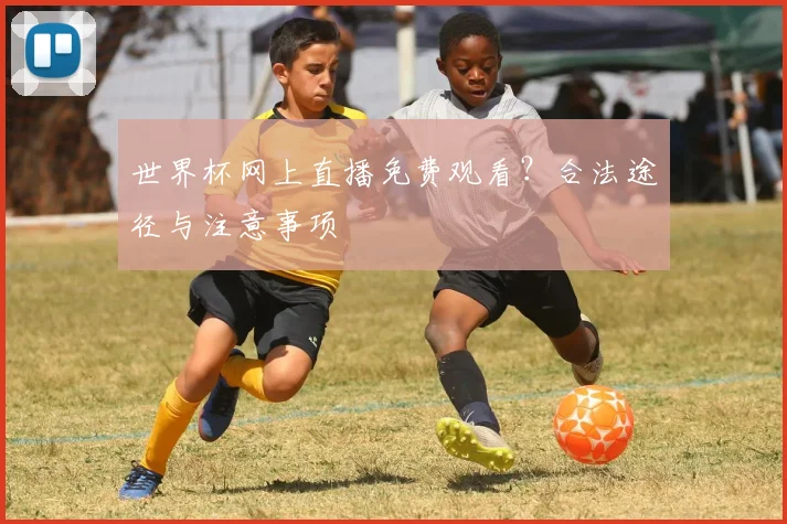 世界杯网上直播免费观看?合法途径与注意事项