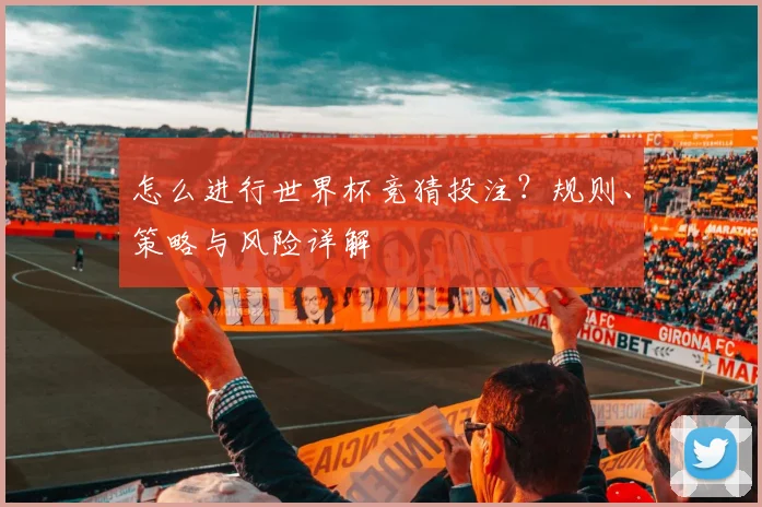 怎么进行世界杯竞猜投注？规则、策略与风险详解
