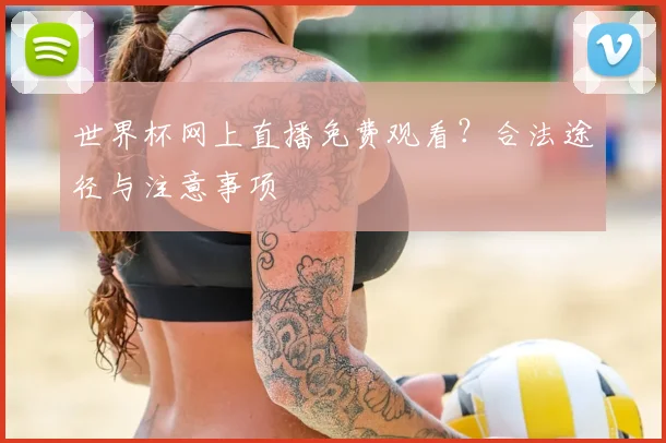 世界杯网上直播免费观看?合法途径与注意事项