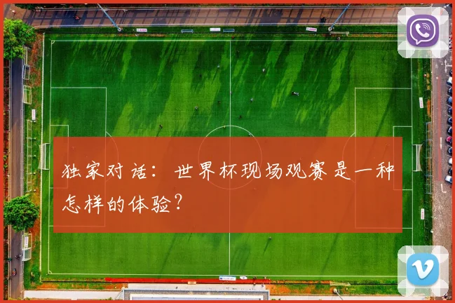 独家对话:世界杯现场观赛是一种怎样的体验?