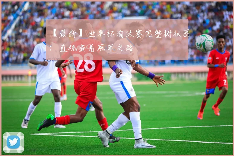 【最新】世界杯淘汰赛完整树状图:直观查看冠军之路