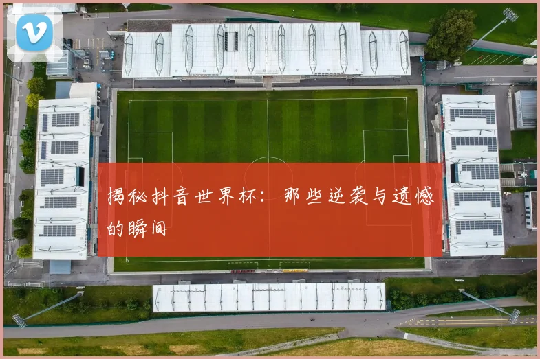 揭秘抖音世界杯：那些逆袭与遗憾的瞬间