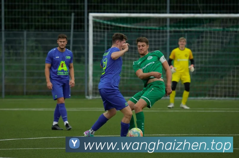 亚搏app注册官网平台生态图