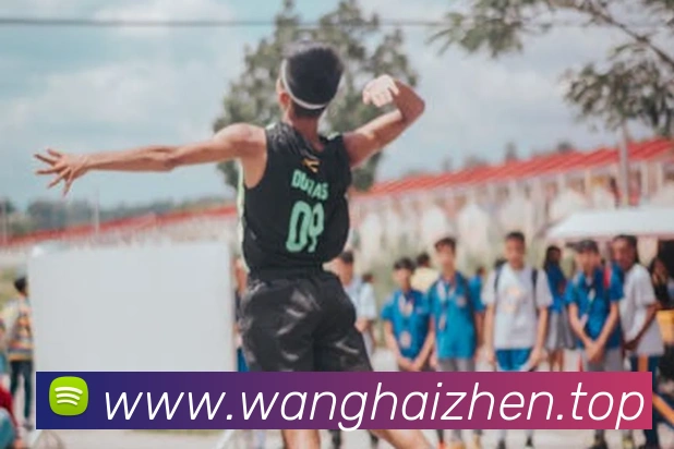 数据防护可视化